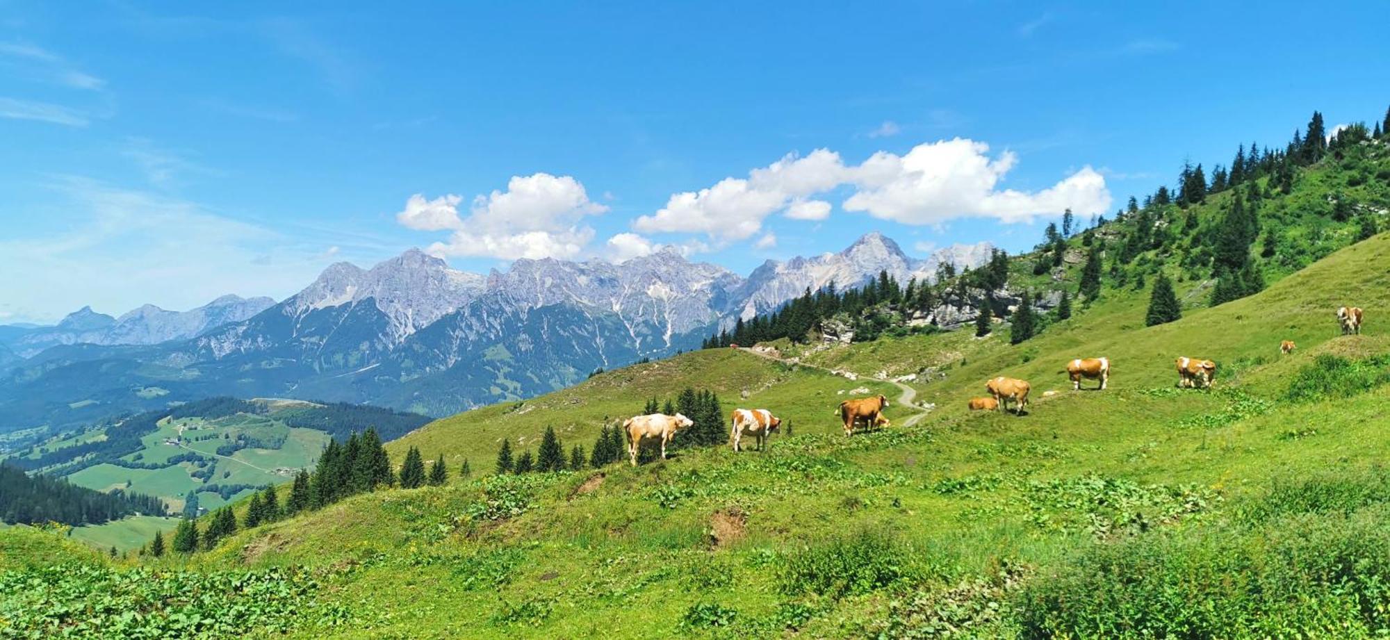 Maria Alm - Cozy & Modern Apartment Mountain View Saalfelden am Steinernen Meer Kültér fotó